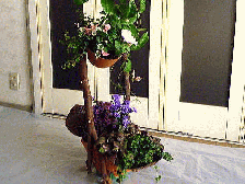 ８月の花台