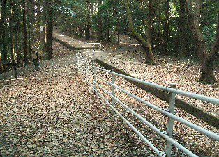水道管が埋設されている、市民の森の散歩道