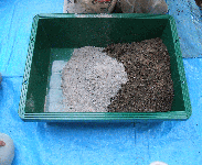 モルタル作り。混合容器の中に、セメント１：砂３を入れる