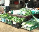 売店の野菜