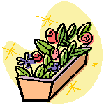 植木鉢と花