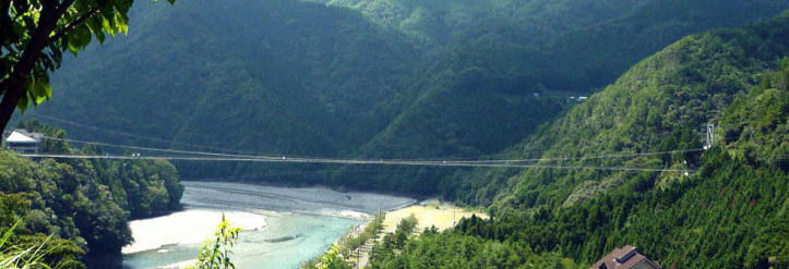 谷瀬の吊り橋全景